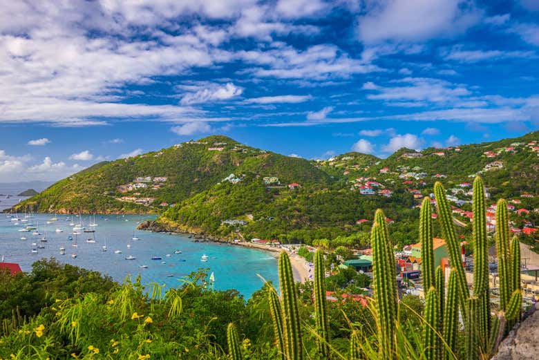 Excursión privada desde Anse Marcel en barco - Galería 1