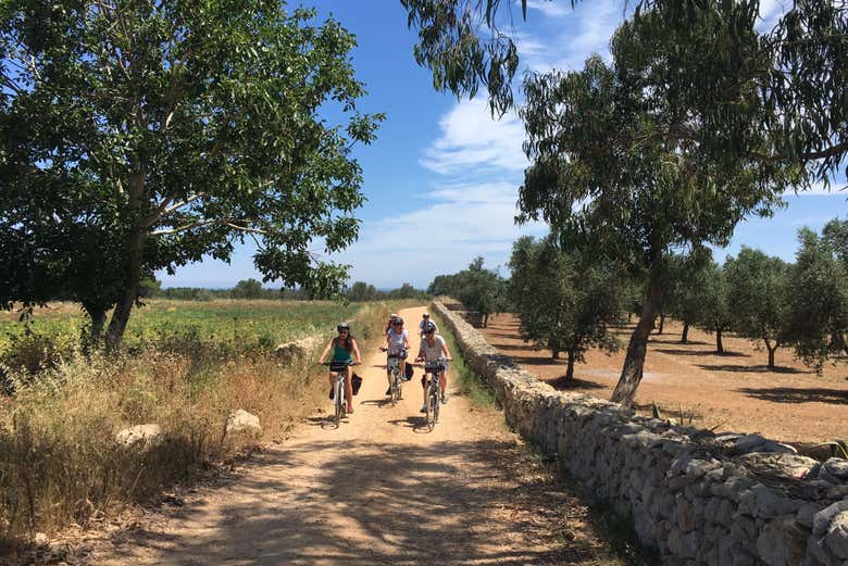Tour en bicicleta por Alezio, Tuglie y Porto Selvaggio