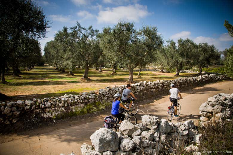 Tour en bicicleta por Alezio, Tuglie y Porto Selvaggio