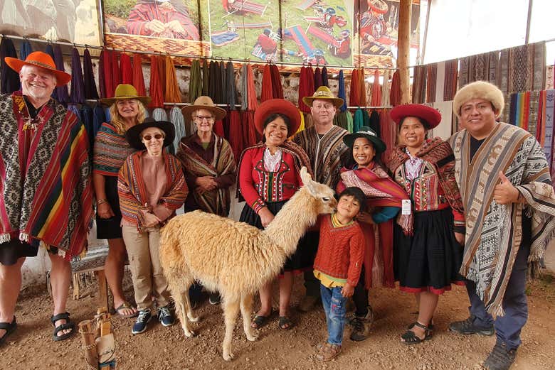 Ruta privada de senderismo con llamas y alpacas por el Valle Sagrado