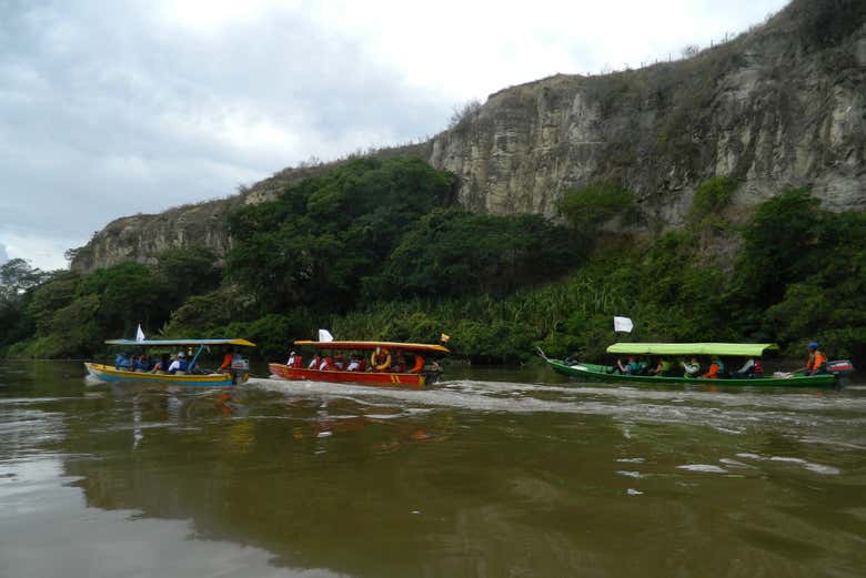 Paseo en barco por el río Magdalena + Degustación de Achira