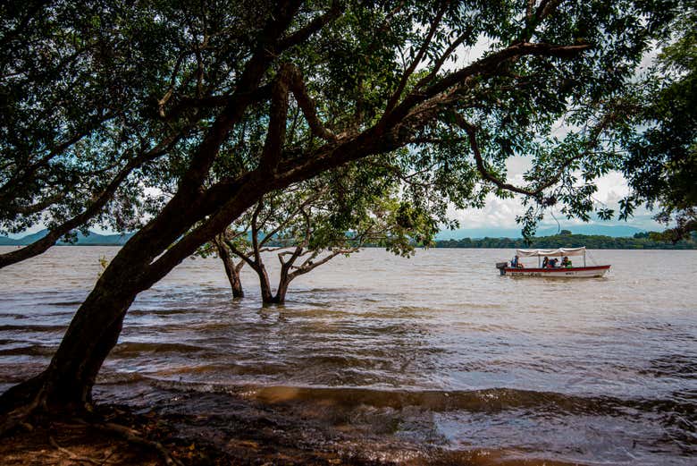 Excursión a Yaguará