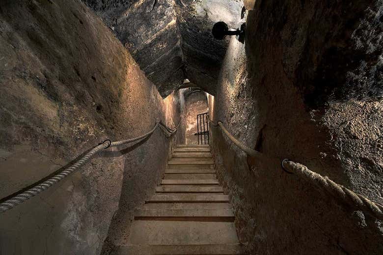 Visita a la Bodega Histórica Don Carlos con cata de vinos