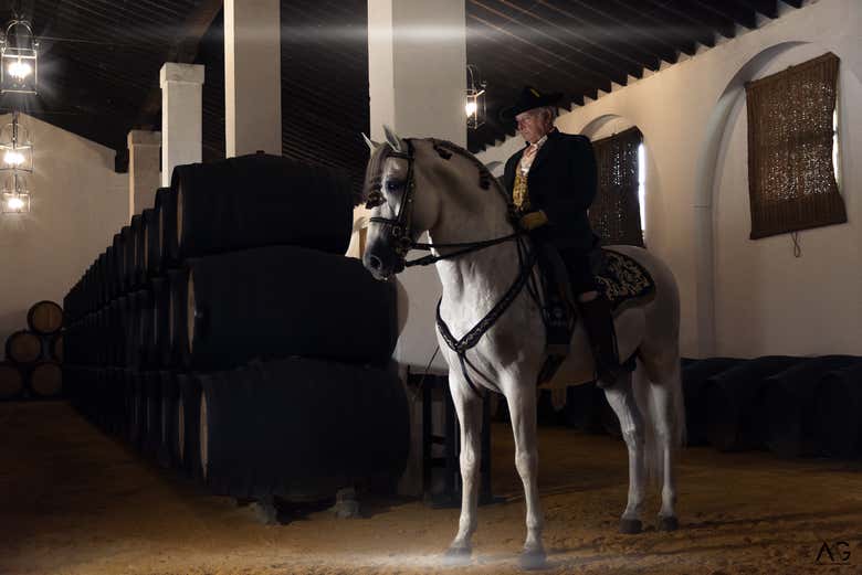Visita a las Bodegas Álvaro Domecq