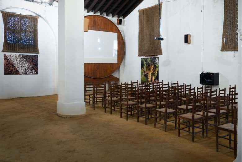 Visita a las Bodegas Álvaro Domecq