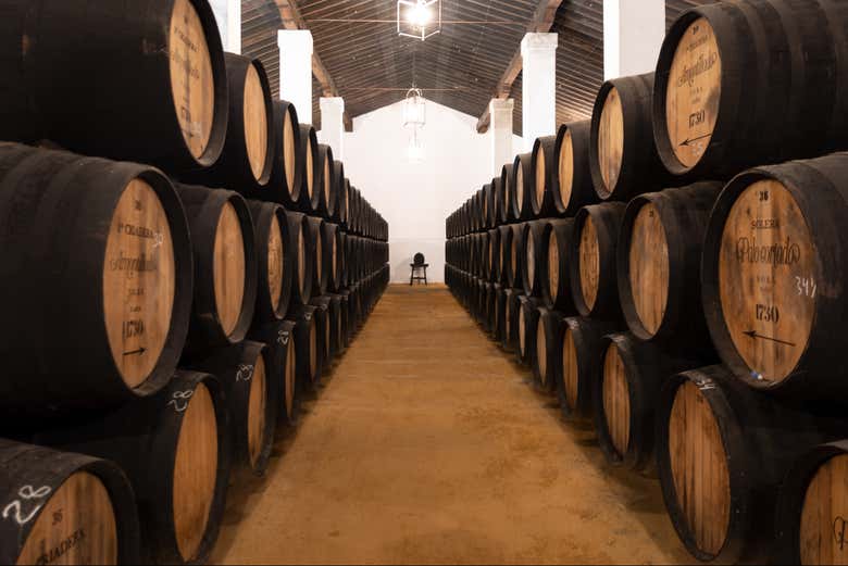 Visita a las Bodegas Álvaro Domecq