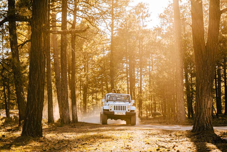 Tour en 4x4 por los alrededores de Creel