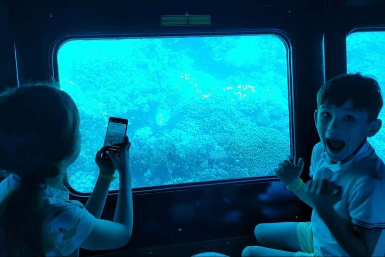 Paseo en barco con fondo de cristal