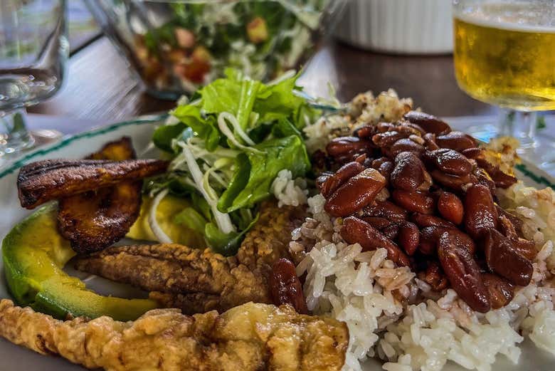 Visita a una hacienda rural dominicana + Basílica y mercado de Higüey