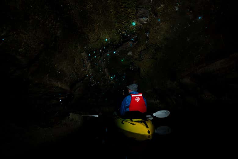Tour en kayak por las cuevas Glow Worm