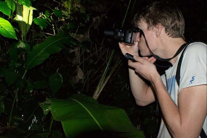 Senderismo nocturno por Tortuguero