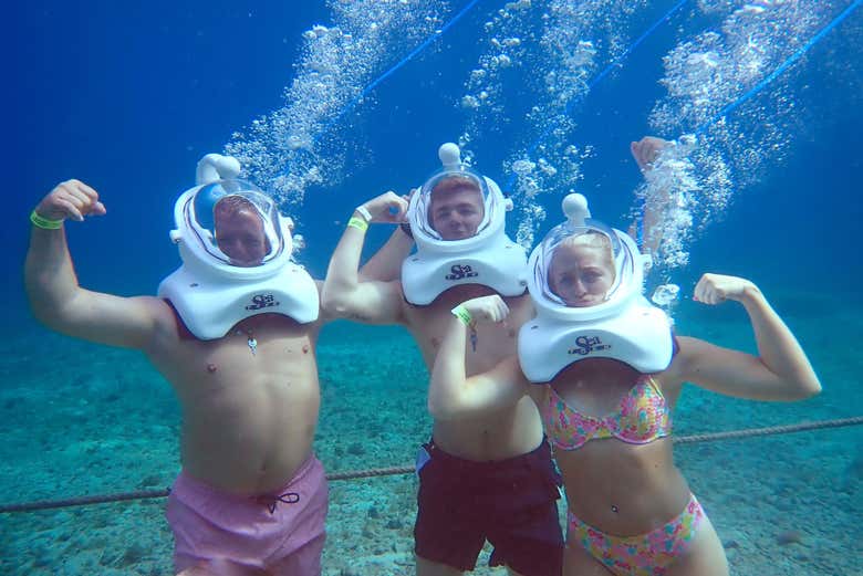 Sea Trek en Cozumel - Galería 1