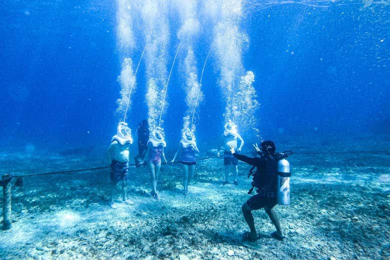 Sea Trek en Cozumel - Galería 2