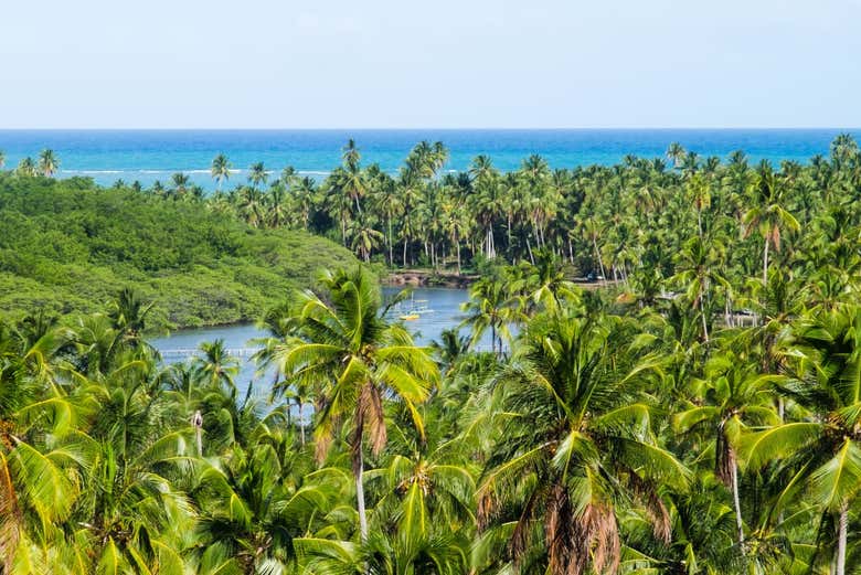 Excursión a São Miguel dos Milagres