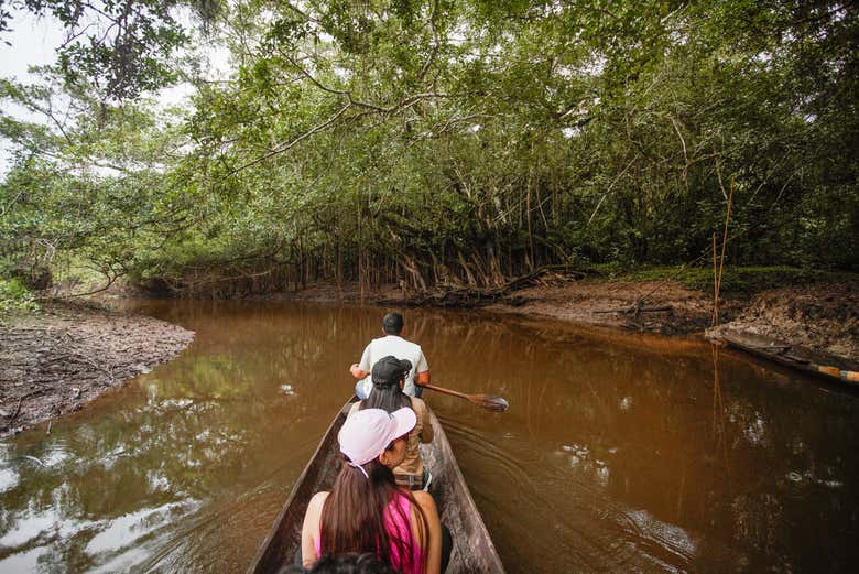 Excursión a la Reserva Ecológica de Tingana + Paseo en canoa
