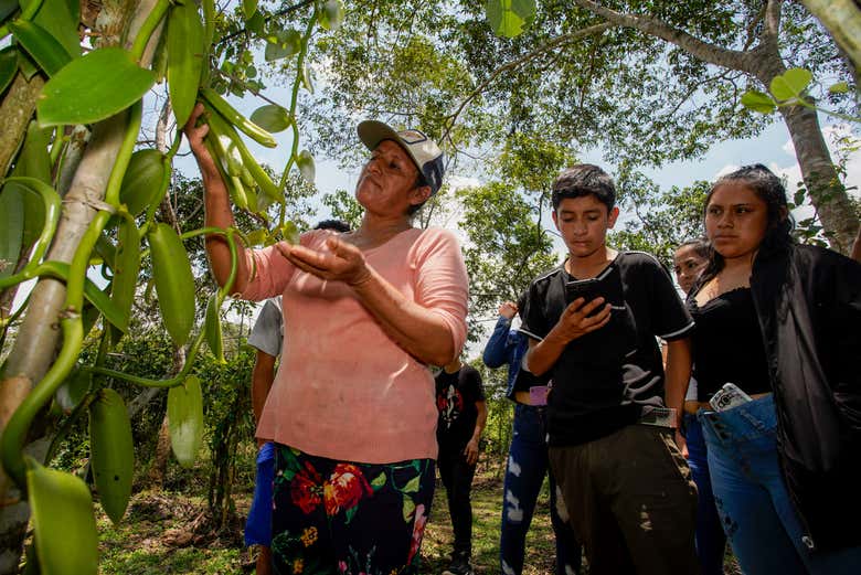 Excursión a la Reserva Ecológica de Tingana + Paseo en canoa