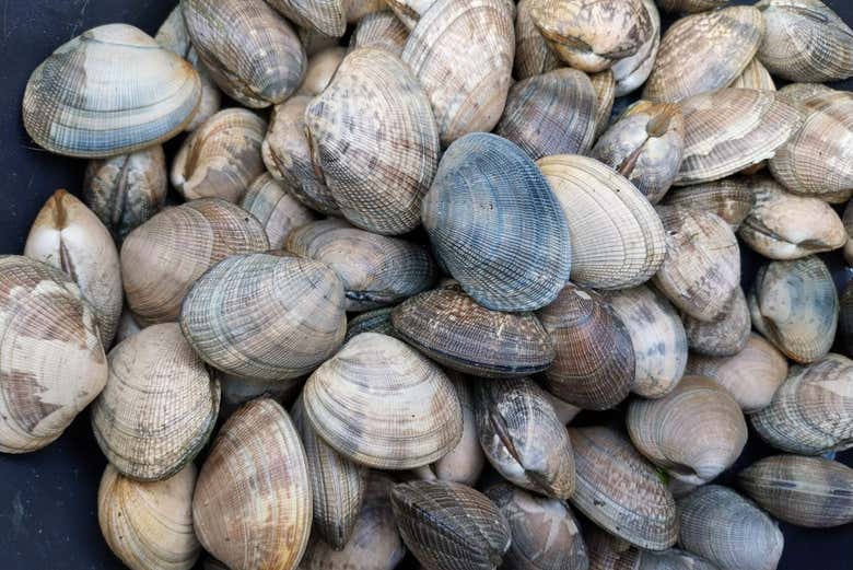 Free tour de las mariscadoras de Villagarcía de Arosa