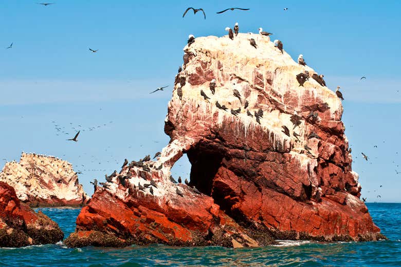 Excursión a las islas Ballestas