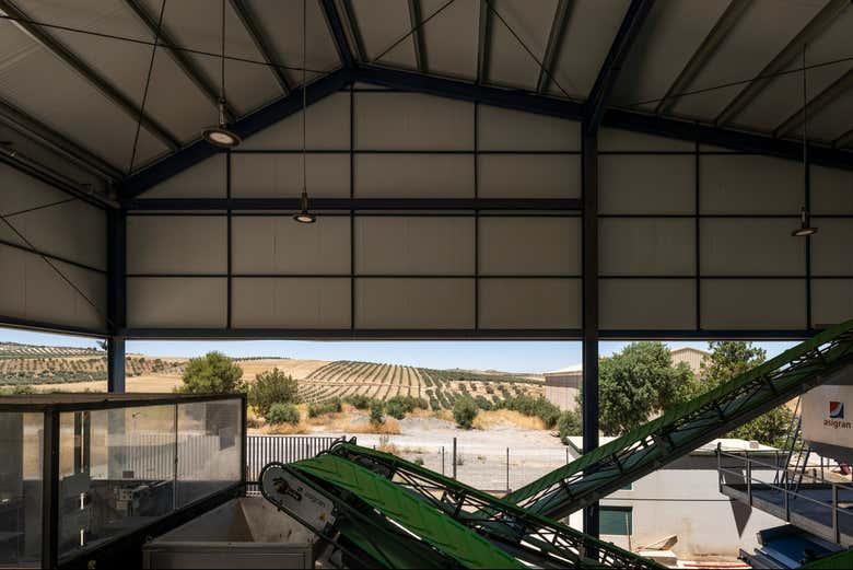 Visita a la almazara OMED