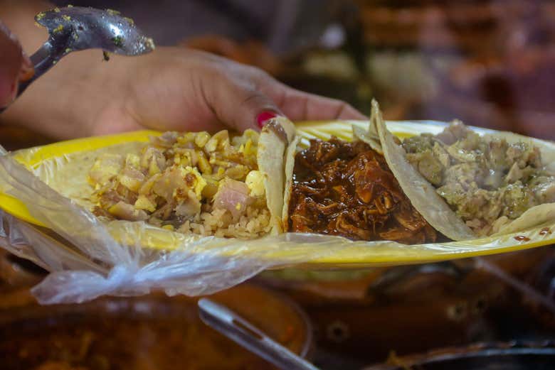 Tour gastronómico por Puerto Morelos