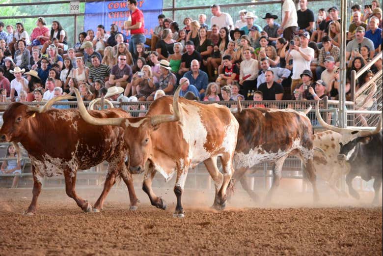 Entrada a un rodeo en Texas