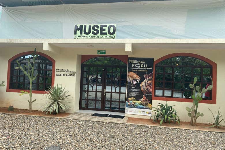 Tour por el Museo de Historia Natural de la Tatacoa + Taller de fósiles