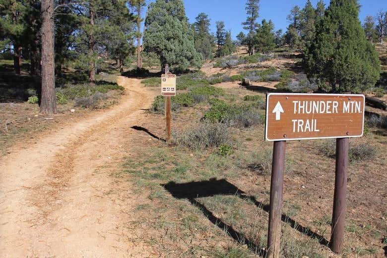 Alquiler de bicicleta en el Cañón Bryce