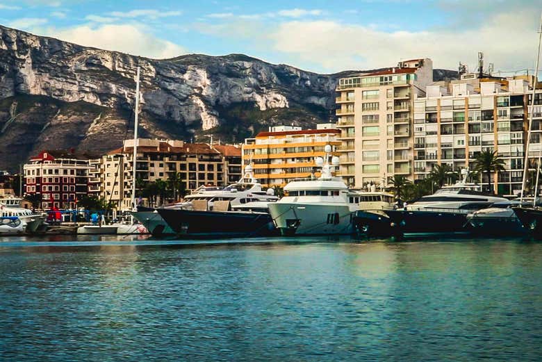 Avistamiento de delfines y ballenas en Denia
