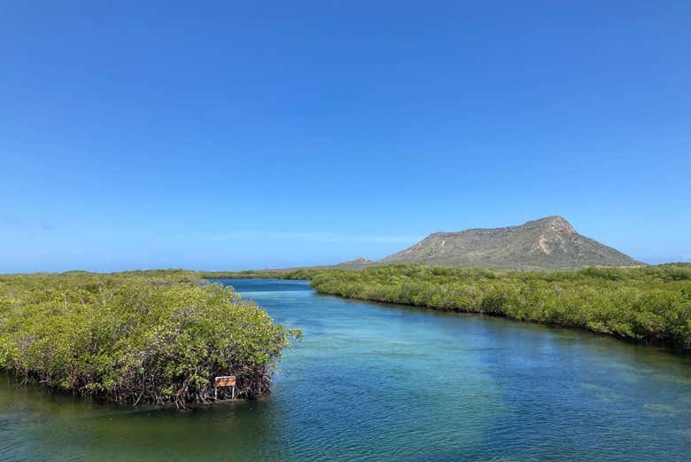 Paseo en barco por Monte Cristi