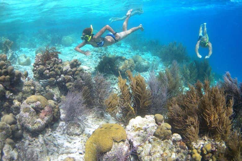 Watertaxi a Klein Bonaire