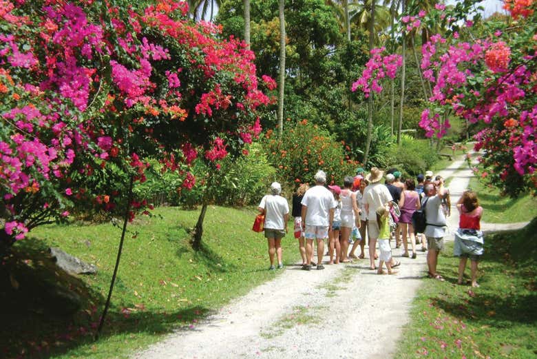Excursión a la bahía de Soufrière en barco