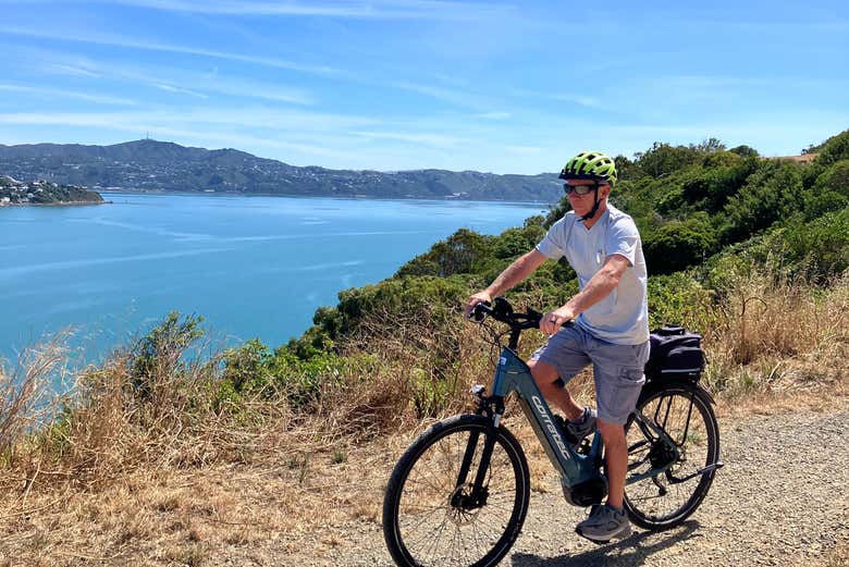 Tour en bicicleta por Wellington