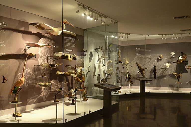 Tour por los museos de Saltillo