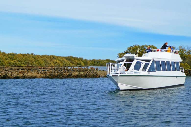 Paseo en barco por el río Port Adelaide