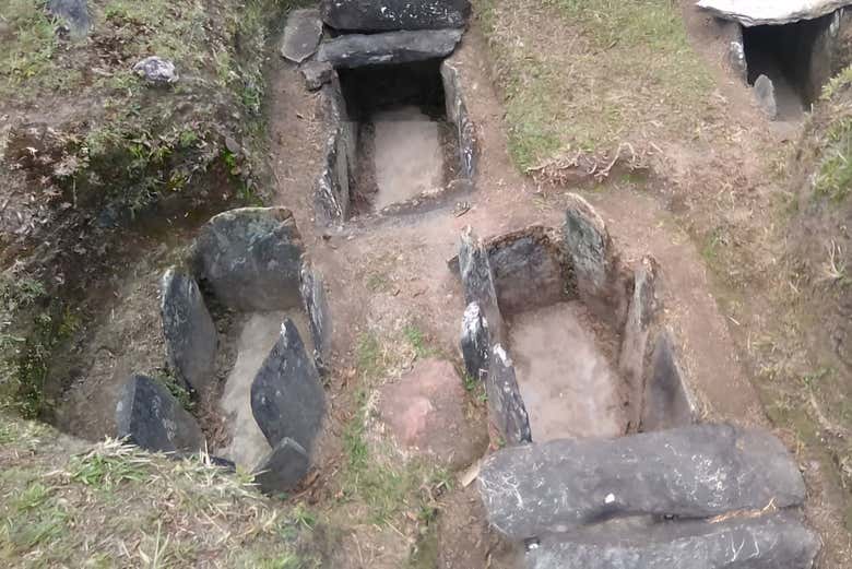Excursión a Puerto Quinchana