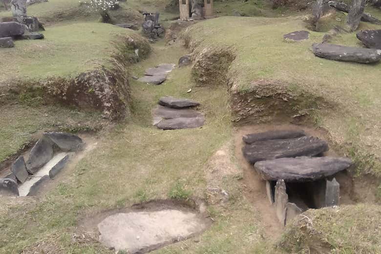 Excursión a Puerto Quinchana