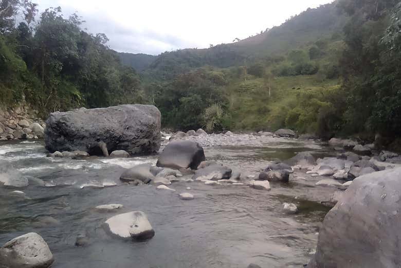 Excursión a Puerto Quinchana