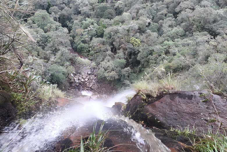 Excursión a Puerto Quinchana