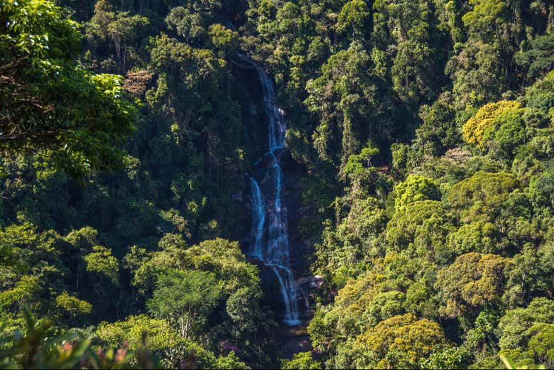 Tour en 4x4 por el Parque Nacional de Tijuca