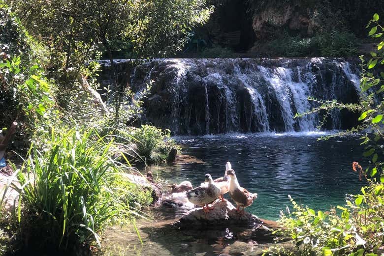 Excursión a Chefchaouen y Parque Nacional Akchour