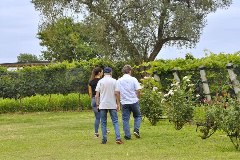 Tour de bodegas por Colonia Caroya con degustación de vinos