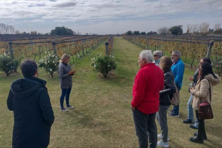 Tour de bodegas por Colonia Caroya con degustación de vinos