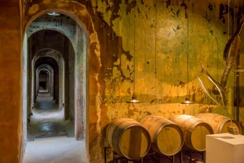 Tour de bodegas por Colonia Caroya con degustación de vinos
