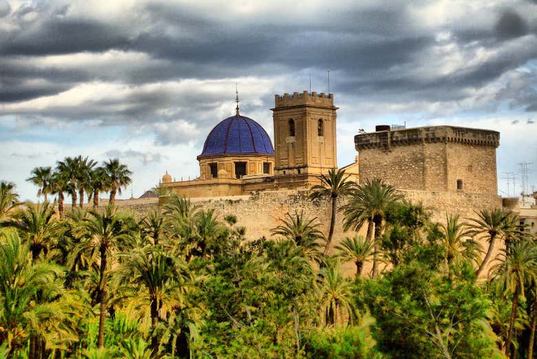 Visita guiada por la Basílica de Santa María + Subida a la torre