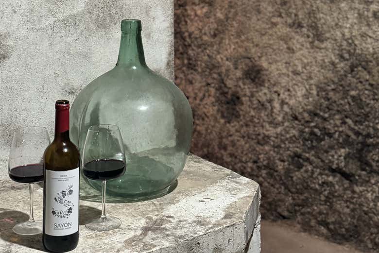Visita a las bodegas J.F. Iradier