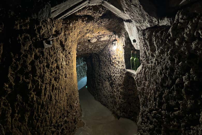 Visita a las bodegas J.F. Iradier