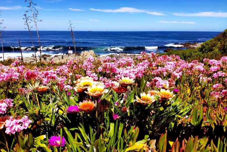 Excursión a Isla Negra, Pomaire y Viña Undurraga - Galería 1
