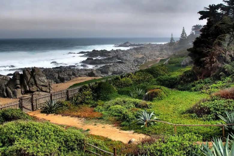 Excursión a Isla Negra, Pomaire y Viña Undurraga - Galería 2