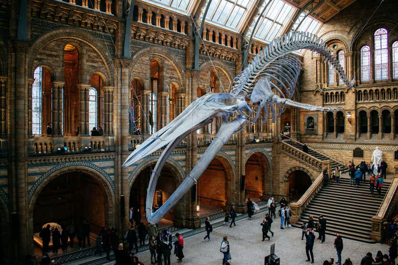Entrada al Museo de Historia Natural con audioguía
