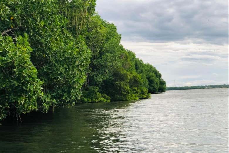 Paseo privado en barco por los manglares de Pottuvil